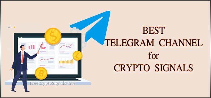 Best Telegram Channel for Crypto Signals