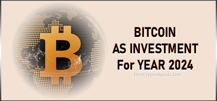 Bitcoin as Investment for Year 2024