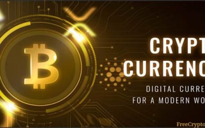 What is Cryptocurrency or Digital Virtual Currency ?