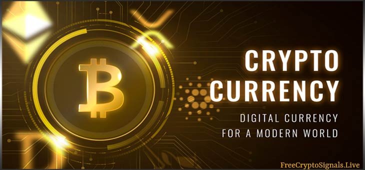 What is Cryptocurrency or Digital Virtual Currency ?