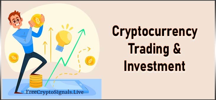 Cryptocurrency Trading & Investment: A Beginner’s Guide