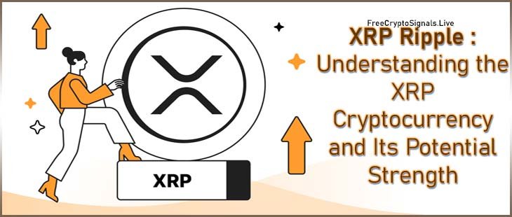 About XRP Ripple : Understanding the XRP Cryptocurrency and Its Potential Strength